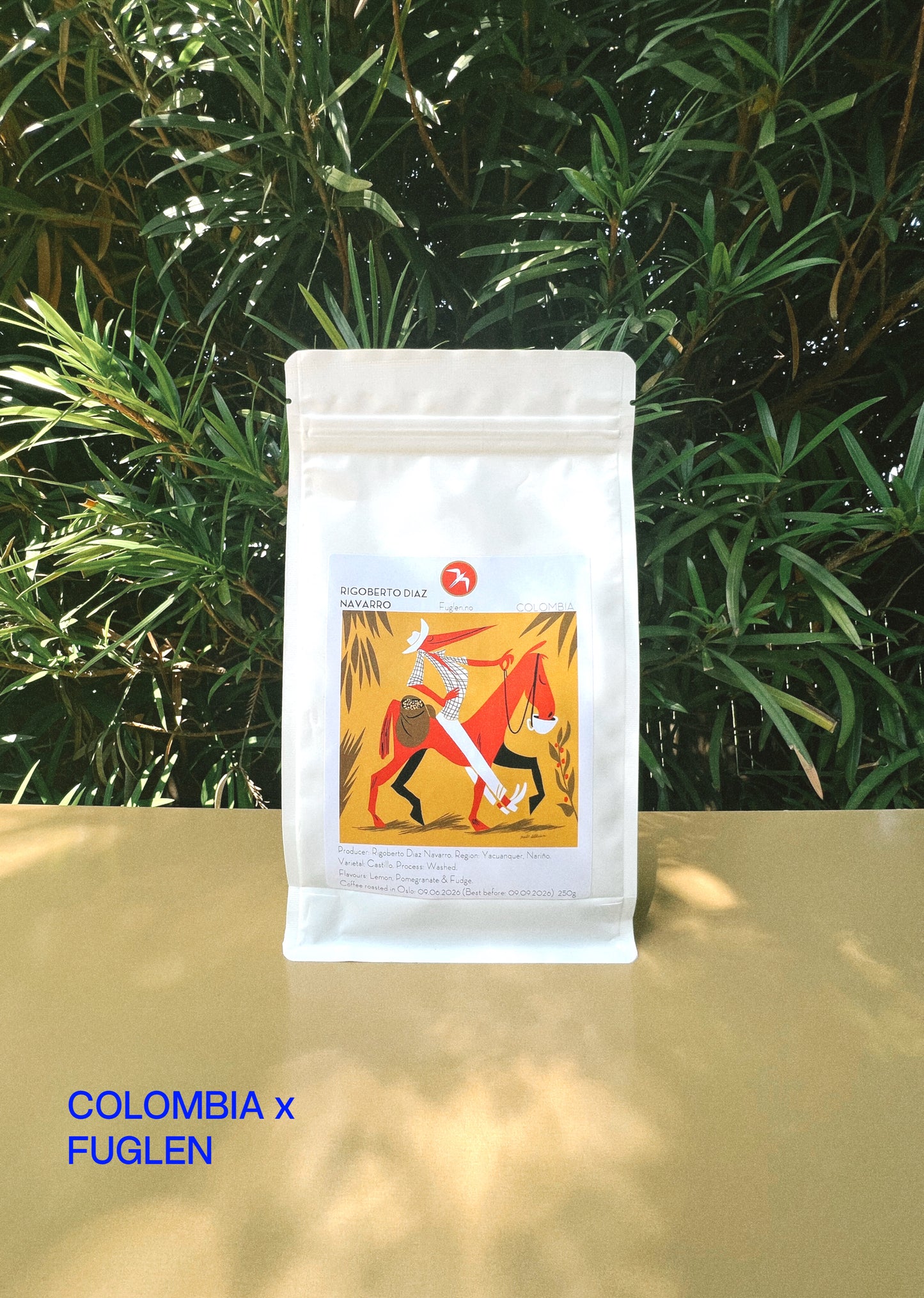 COLOMBIA x FUGLEN