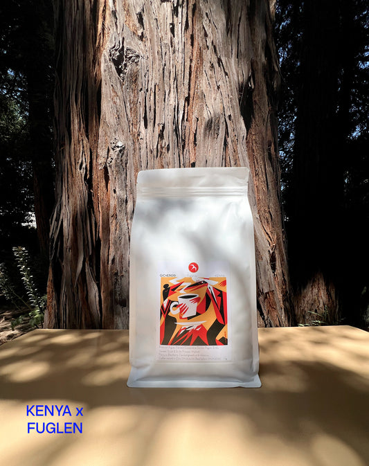 KENYA x FUGLEN