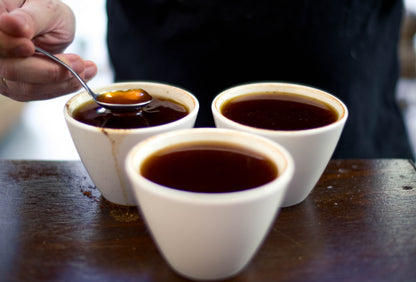 Member - Espresso / Omni Roasts